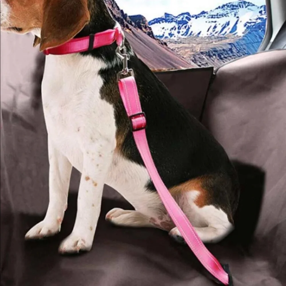 PET SEATBELT